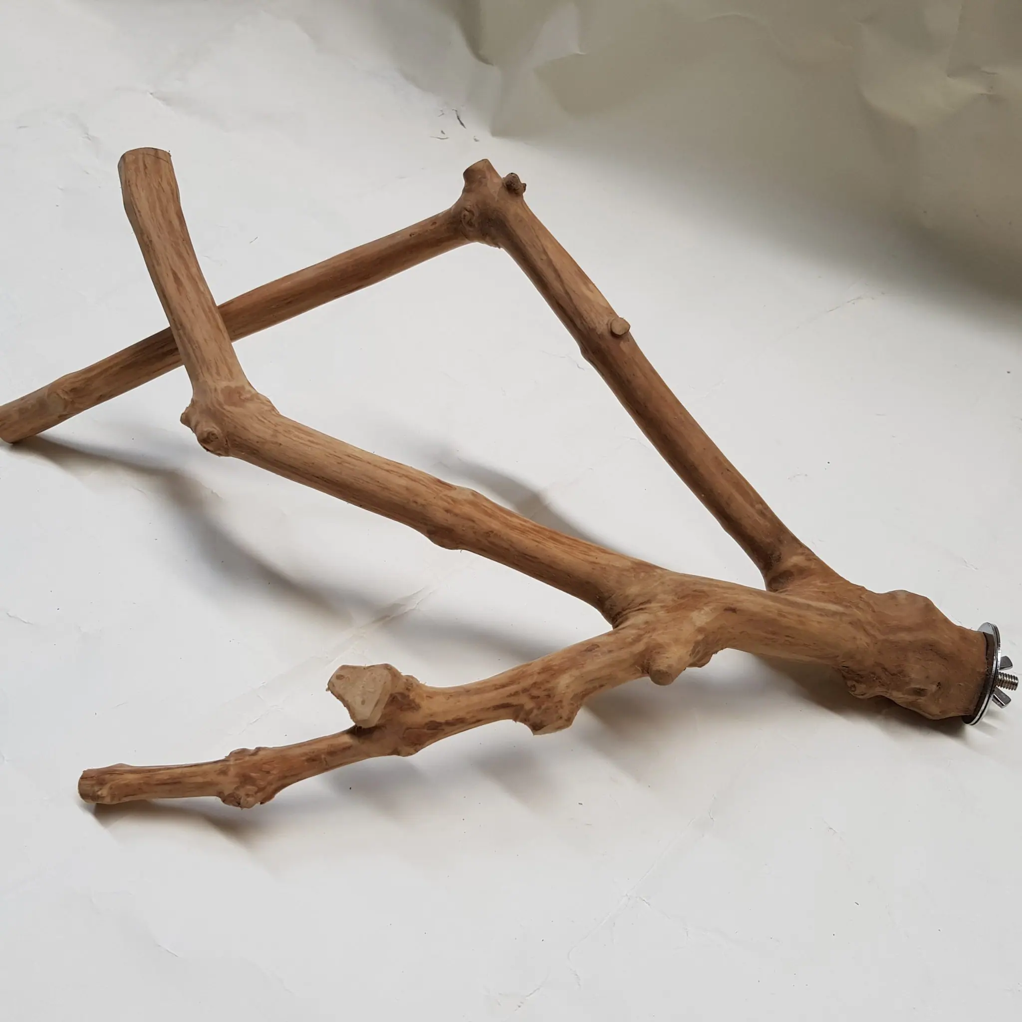 Java wood tree, Java wood tree play stand, Java wood tree for sale, Java wood tree stand, Java wood tree for parots, Parrot stand wood, Java wood parrot play stand, Bird play stand, Bird perch, Java wood perch, Java wood perches, Java wood branches, Java wood bird perches, Java wood bird stand, Java wood parrot stand, coffee tree