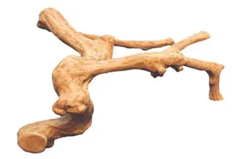 reptile branches, reptile climbing branches, reptile wood branches, large reptile branches, reptile cages, bearded dragon cage, terrarium supplies, chameleon cage, exo terra tank, snake cages, reptile tank, vivarium branches, reptile terrarium, bearded dragon vivarium, bearded dragon tank, reptile branches for sale, climbing branches for snakes, exo terra terrarium, reptile branches and logs, reptile incubator, terrarium, reptile carpet, snake terrarium, chameleon for sale, snake vivarium, bearded dragon enclosure, large terrarium, reptile heating pad, reptile vines branches, vivarium for sale, snake habitat, fake tree branches, reptile habitat, snake branch, terrarium exo terra, chameleon vivarium, exo terra, exo terra glass terrarium, reptile heat tape, reptile cages for sale, reptile accessories, terrarium branches, custom reptile cages, branches for reptile cages, reptile log, terrarium background, reptile logs branches, reptile wood, large reptile terrarium, reptile basking branches, reptile hides, reptile climbing logs, fake branches, lizard climbing branches, exo terra branch, bearded dragon, iguana terrarium, terrarium decor, reptile tree, grape wood for reptiles, reptile habitat decor, iguana tank, snake tank decor, reptile climbing vines, reptile supplies online, reptile feeders, reptile supplies uk, snake setup, reptile rock, wholesale reptile supplies, reptile cage decor, snake habitat decor, iguana branches, climbing branches for bearded dragons, reptile driftwood, java wood branches, lizard tank accessories, reptile cave, reptile climbing decor, reptile equipment, snake terrarium decor, chameleon branches, reptile terrarium decor, lizard habitat decor, reptile tank decor, bearded dragon branch, lizard tank decorations, reptile habitat background, vivarium logs, snake cage decor, reptile mulch, reptile climbing tree, terrarium reptile habitat, gecko tank decor, snake enclosure plans, lizard cage decor, reptile wood decor, chameleon vine, branch and vine, gecko habitat decor, reptile habitat accessories, how to treat tree branches for indoor use, live plants for reptiles, reptile climbing sticks, wooden reptile terrarium, bulk reptile supplies, wood reptile cage, snake vivarium decoration, reptile log hide, wood for vivarium, large reptile logs, safe wood for reptiles, gecko terrarium decor, bearded dragon wood logs, reptile perch, terrarium logs, rainforest vivarium, snake cage designs, lizard terrarium decor, small reptile habitat, reptile vines for sale, wooden reptile enclosure, branch snake, reptile tank ornaments, wooden snake tank, snake tank decoration ideas, snake on branch, reptile habitat tank, wooden reptile tank, diy reptile decor, exo terra decor, desert reptile habitat, diy reptile background, safe wood for reptile enclosure, reptile wood in aquarium, reptile pet supplies, reptile desert background, reptile tree hide, baking driftwood for reptiles, snake logs, baking wood for reptiles, safe wood for bearded dragons, bearded dragon wood, how to sterilize wood for reptiles, repti tree, how to disinfect wood for reptiles, how to sterilize branches for reptiles