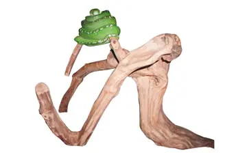 reptile branches, reptile climbing branches, reptile wood branches, large reptile branches, reptile cages, bearded dragon cage, terrarium supplies, chameleon cage, exo terra tank, snake cages, reptile tank, vivarium branches, reptile terrarium, bearded dragon vivarium, bearded dragon tank, reptile branches for sale, climbing branches for snakes, exo terra terrarium, reptile branches and logs, reptile incubator, terrarium, reptile carpet, snake terrarium, chameleon for sale, snake vivarium, bearded dragon enclosure, large terrarium, reptile heating pad, reptile vines branches, vivarium for sale, snake habitat, fake tree branches, reptile habitat, snake branch, terrarium exo terra, chameleon vivarium, exo terra, exo terra glass terrarium, reptile heat tape, reptile cages for sale, reptile accessories, terrarium branches, custom reptile cages, branches for reptile cages, reptile log, terrarium background, reptile logs branches, reptile wood, large reptile terrarium, reptile basking branches, reptile hides, reptile climbing logs, fake branches, lizard climbing branches, exo terra branch, bearded dragon, iguana terrarium, terrarium decor, reptile tree, grape wood for reptiles, reptile habitat decor, iguana tank, snake tank decor, reptile climbing vines, reptile supplies online, reptile feeders, reptile supplies uk, snake setup, reptile rock, wholesale reptile supplies, reptile cage decor, snake habitat decor, iguana branches, climbing branches for bearded dragons, reptile driftwood, java wood branches, lizard tank accessories, reptile cave, reptile climbing decor, reptile equipment, snake terrarium decor, chameleon branches, reptile terrarium decor, lizard habitat decor, reptile tank decor, bearded dragon branch, lizard tank decorations, reptile habitat background, vivarium logs, snake cage decor, reptile mulch, reptile climbing tree, terrarium reptile habitat, gecko tank decor, snake enclosure plans, lizard cage decor, reptile wood decor, chameleon vine, branch and vine, gecko habitat decor, reptile habitat accessories, how to treat tree branches for indoor use, live plants for reptiles, reptile climbing sticks, wooden reptile terrarium, bulk reptile supplies, wood reptile cage, snake vivarium decoration, reptile log hide, wood for vivarium, large reptile logs, safe wood for reptiles, gecko terrarium decor, bearded dragon wood logs, reptile perch, terrarium logs, rainforest vivarium, snake cage designs, lizard terrarium decor, small reptile habitat, reptile vines for sale, wooden reptile enclosure, branch snake, reptile tank ornaments, wooden snake tank, snake tank decoration ideas, snake on branch, reptile habitat tank, wooden reptile tank, diy reptile decor, exo terra decor, desert reptile habitat, diy reptile background, safe wood for reptile enclosure, reptile wood in aquarium, reptile pet supplies, reptile desert background, reptile tree hide, baking driftwood for reptiles, snake logs, baking wood for reptiles, safe wood for bearded dragons, bearded dragon wood, how to sterilize wood for reptiles, repti tree, how to disinfect wood for reptiles, how to sterilize branches for reptiles