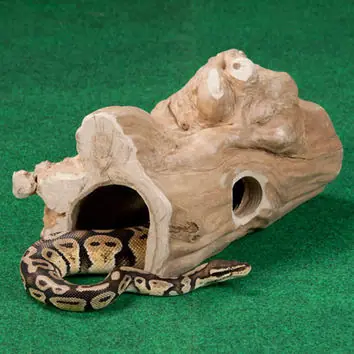 reptile hides, snake hides, reptile cave, tortoise house, reptile hideout, reptile Terrarium, reptile branch, tortoise house, lizard hides, reptile terrarium, reptile decor, exo terra terrarium, snake hide box, bearded dragon hides for sale, reptile hide box, exo terra hides,