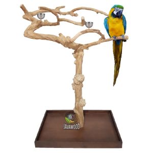 javawood playstand, Java wood tree play stand Bird perch parrot stand supplier manufacture farm, Java wood tree, Java wood tree play stand, Java wood tree for sale, Java wood tree stand, Java wood tree for parots, Parrot stand wood, Java wood parrot play stand, Bird play stand, Bird perch, Java wood perch, Java wood perches, Java wood branches, Java wood bird perches, Java wood bird stand, Java wood parrot stand, Bird shop, Lovebird cage, coffee tree