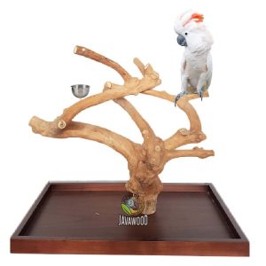 JAVAWOOD TABLE STAND, Java wood tree play stand Bird perch parrot stand supplier manufacture farm, Java wood tree, Java wood tree play stand, Java wood tree for sale, Java wood tree stand, Java wood tree for parots, Parrot stand wood, Java wood parrot play stand, Bird play stand, Bird perch, Java wood perch, Java wood perches, Java wood branches, Java wood bird perches, Java wood bird stand, Java wood parrot stand, Bird shop, Lovebird cage, coffee tree