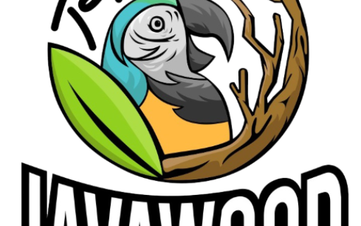 Welcome to Javawood Tree – Transforming Nature’s Beauty into Life
