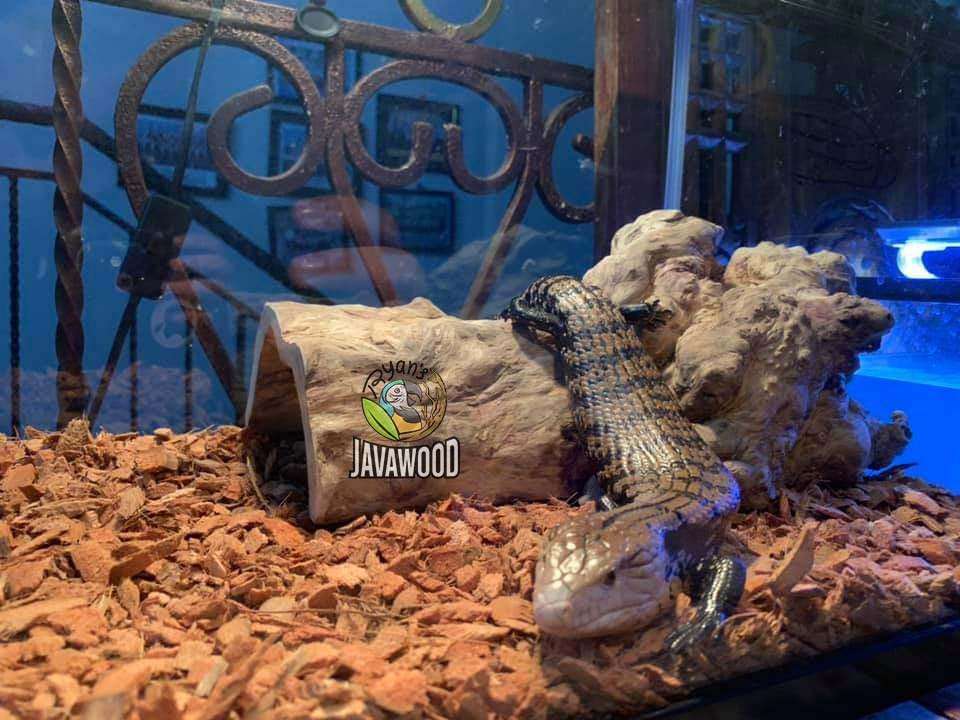Javawood Reptile Hideout - Image 4