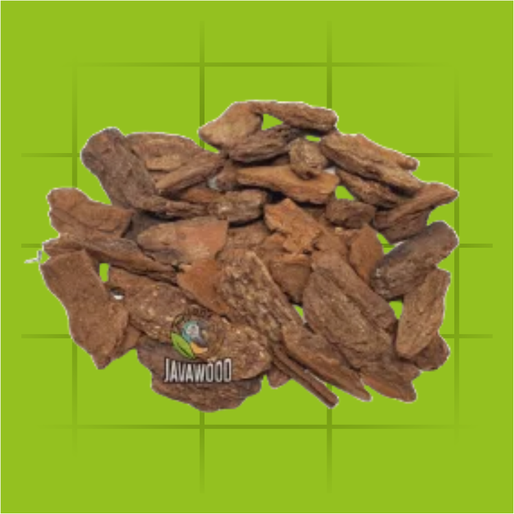 Plant & Garden – Java Wood Tree