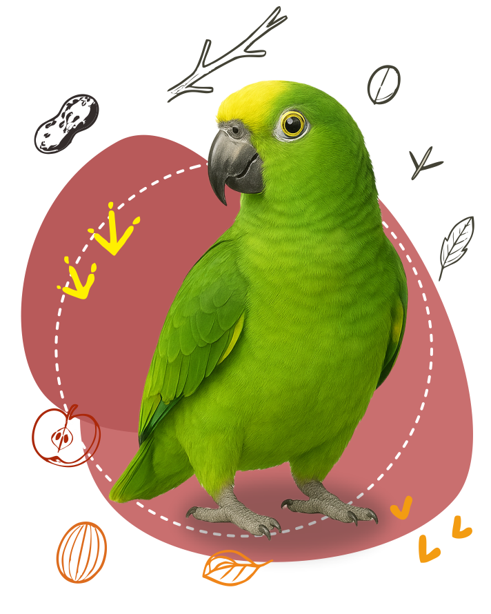 bird products