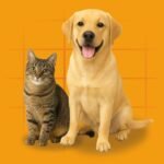 Dog & Cat Products – Natural Chews and Accessories for Healthy Pets