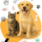 Dog & Cat Products – Natural Chews and Accessories for Healthy Pets