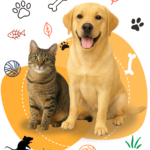 Dog & Cat Products – Natural Chews and Accessories for Healthy Pets