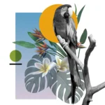 Bird Products – Natural Perches and Toys for Happy, Healthy Birds