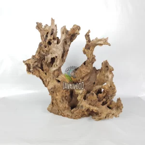 Gamal Crown Wood