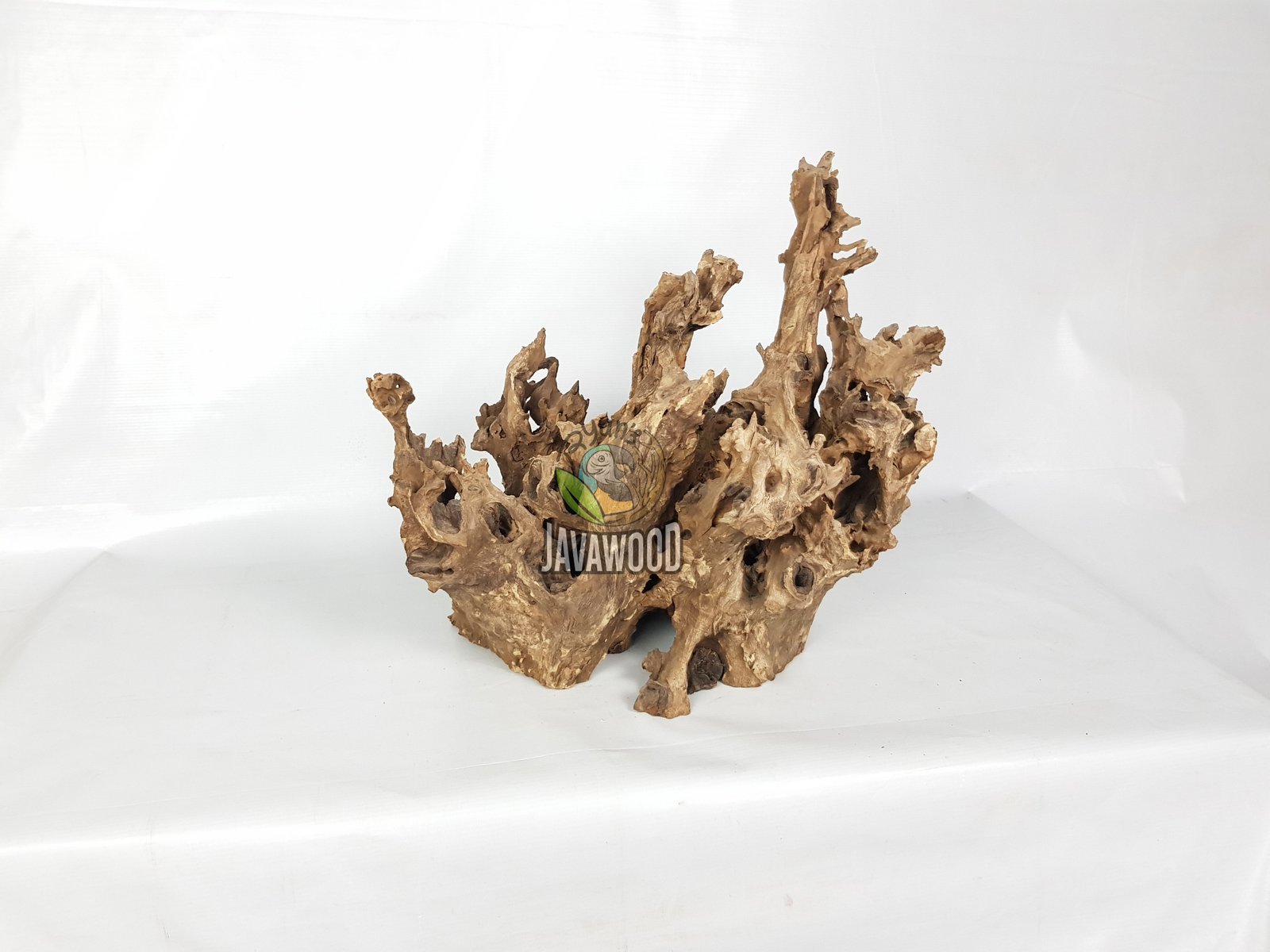 Gamal Crown Wood - Image 5