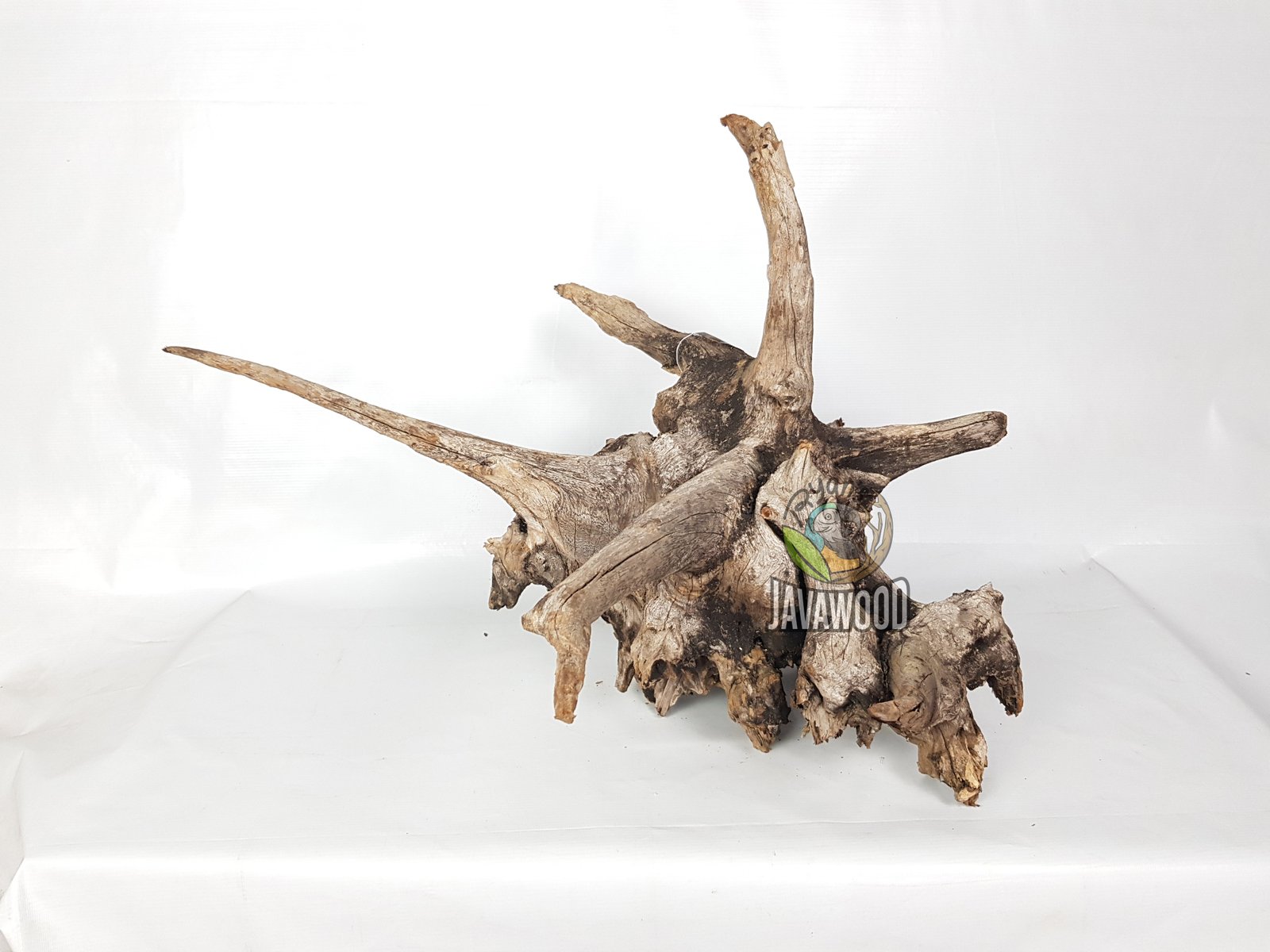 Gamal Crown Wood - Image 3