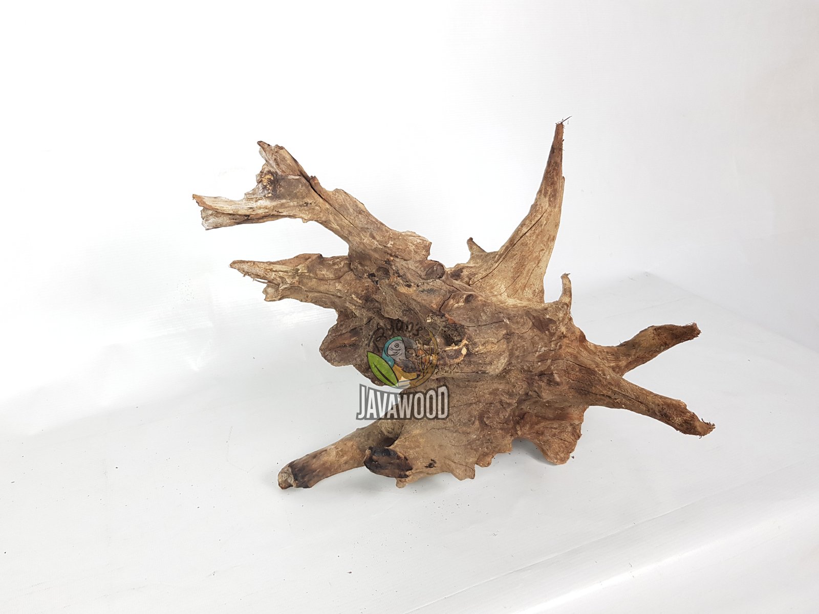 Gamal Crown Wood - Image 4