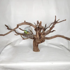 Spider Wood