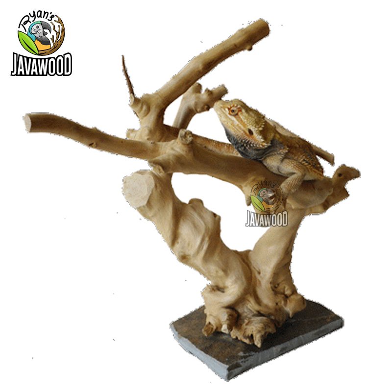 Javawood Reptile Stands - Image 3