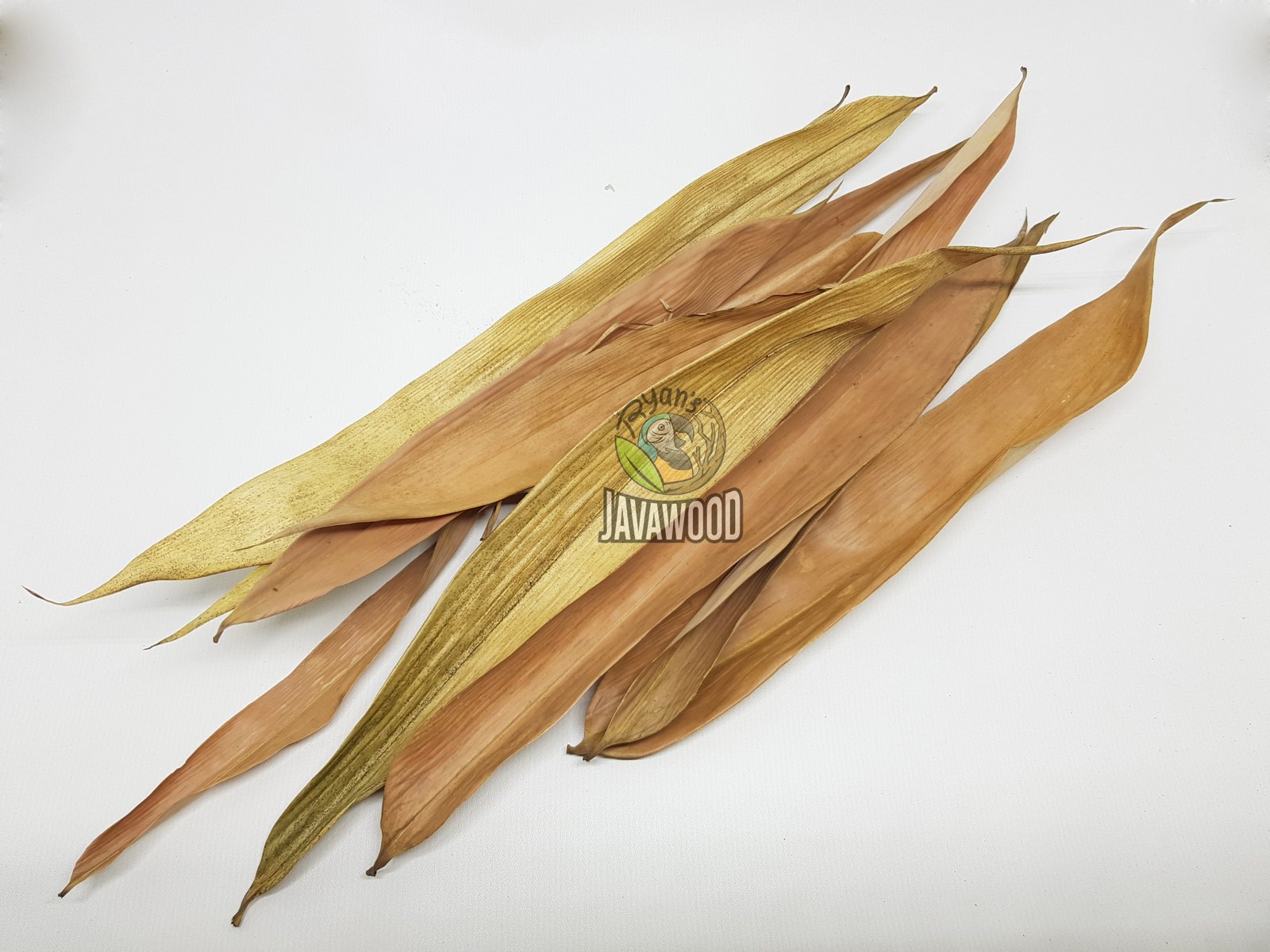 Bio Active Leaf Litter - Image 3