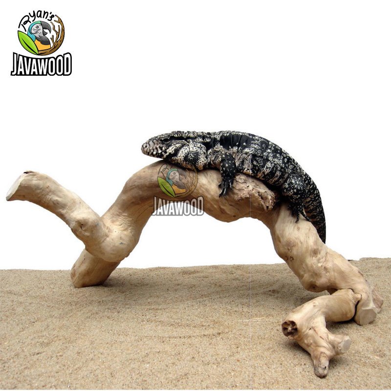 Javawood Reptile Branch - Image 4