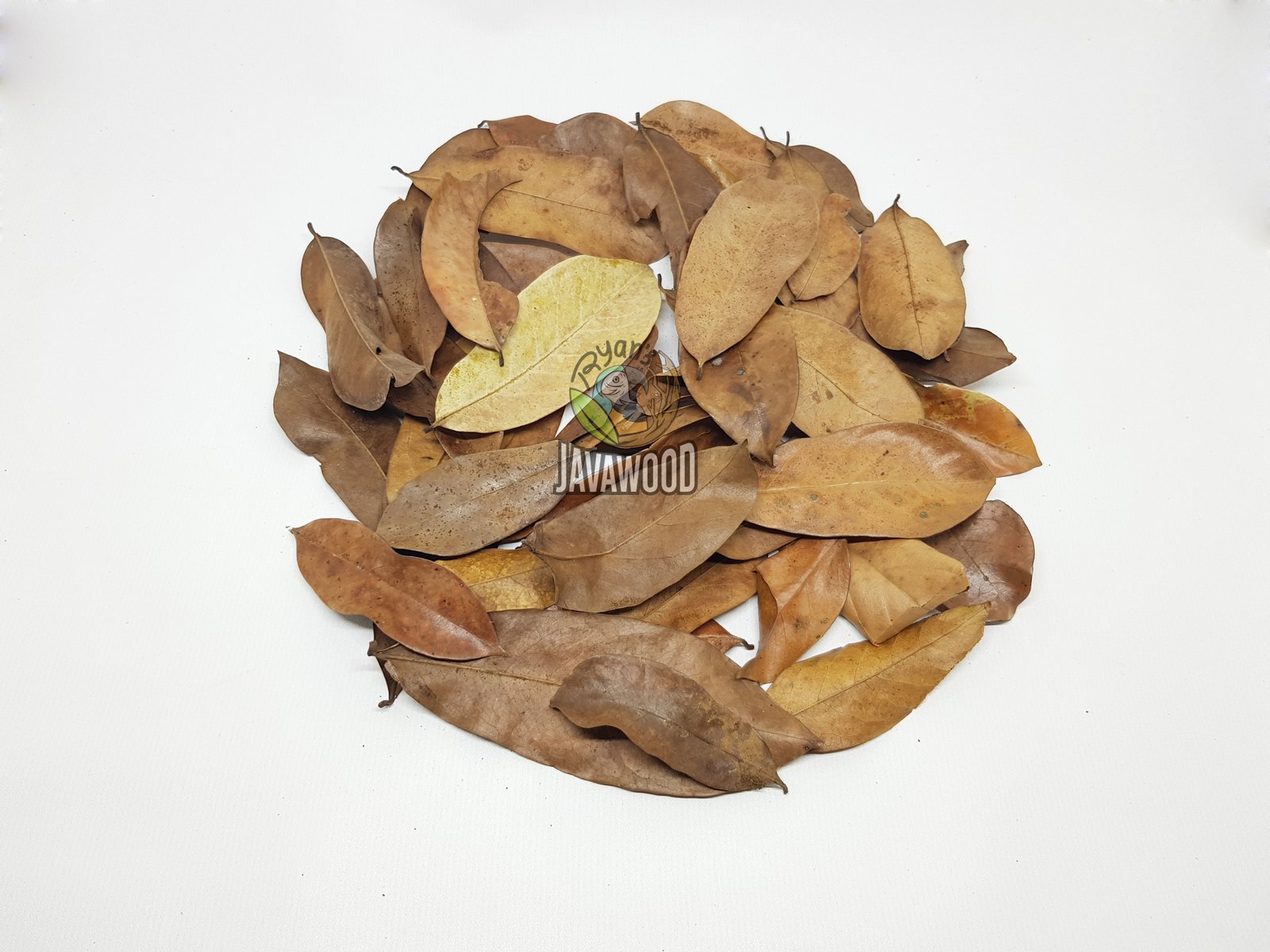 Bio Active Leaf Litter - Image 5