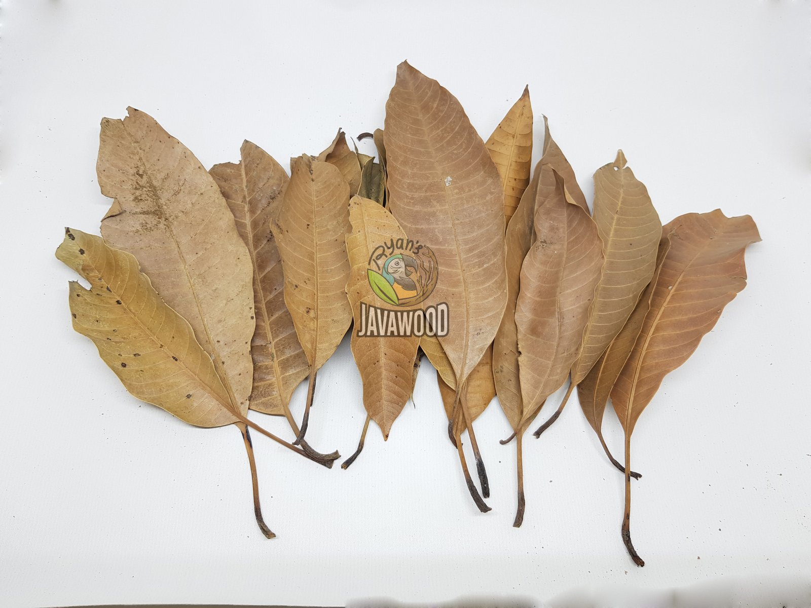 Bio Active Leaf Litter - Image 6