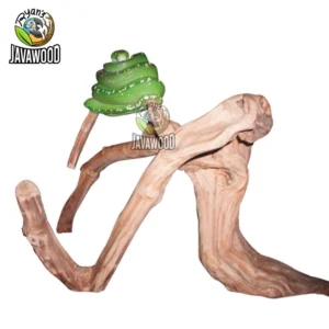 Javawood Reptile Branch