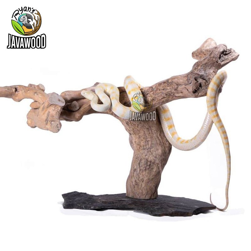 Javawood Reptile Stands