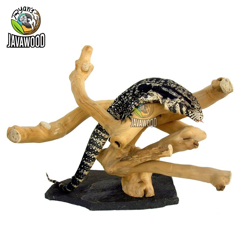 Javawood Reptile Stands - Image 2
