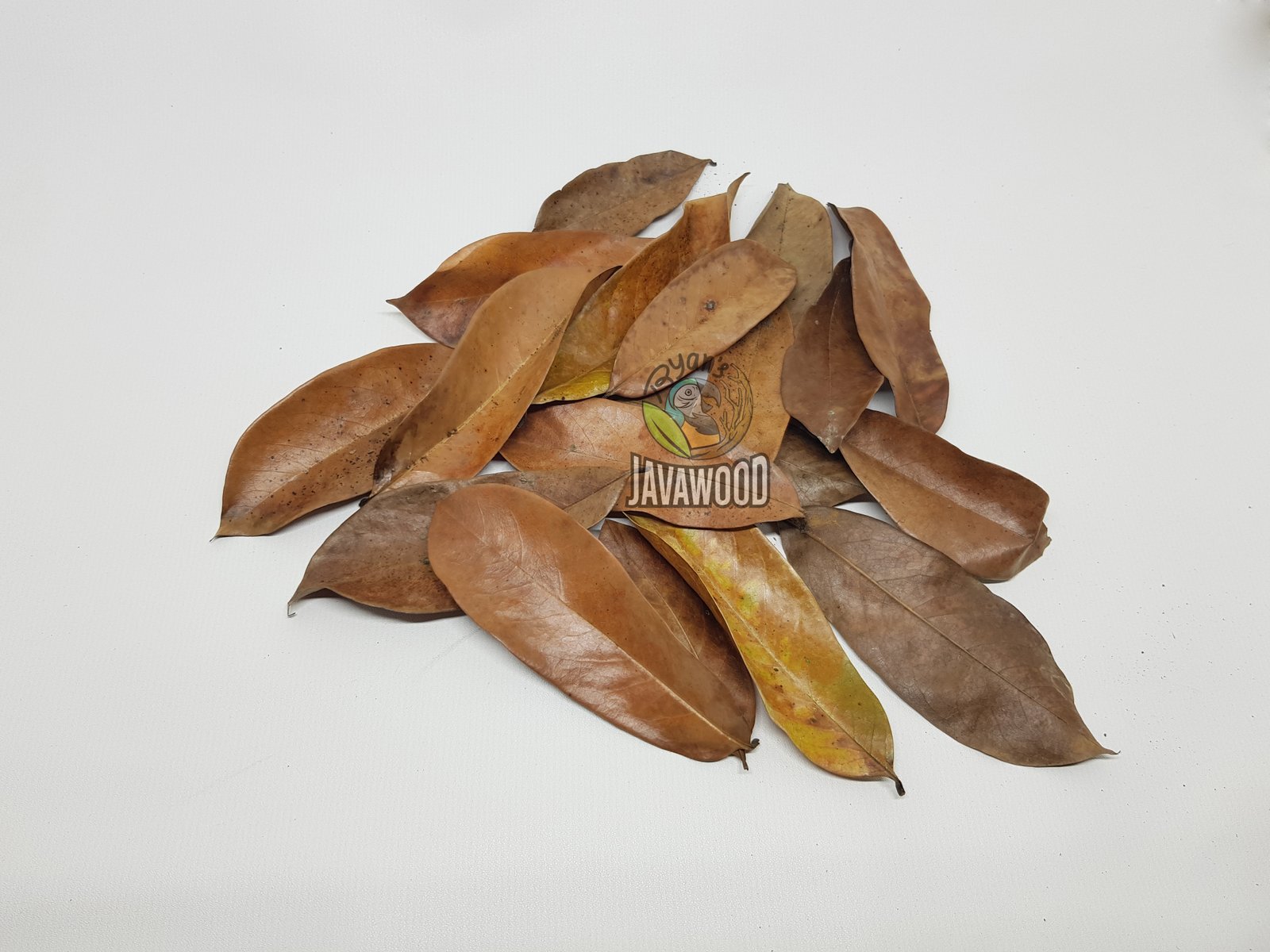 Bio Active Leaf Litter - Image 2
