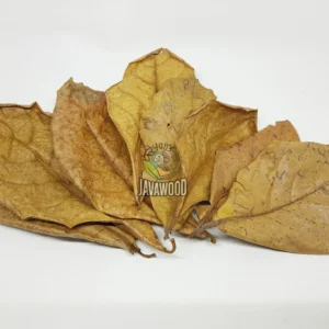 Bio Active Leaf Litter