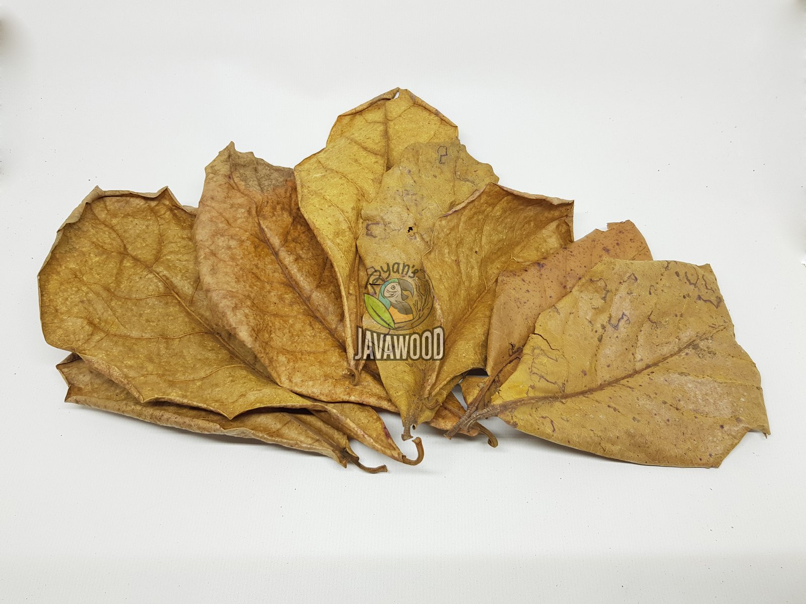 Bio Active Leaf Litter