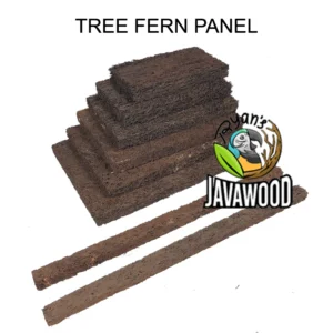 XAXIM Tree Fern Panel