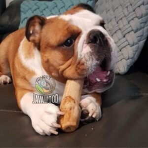 Premium Natural Dog Chews – The Best Healthy & Durable Long-Lasting Treat