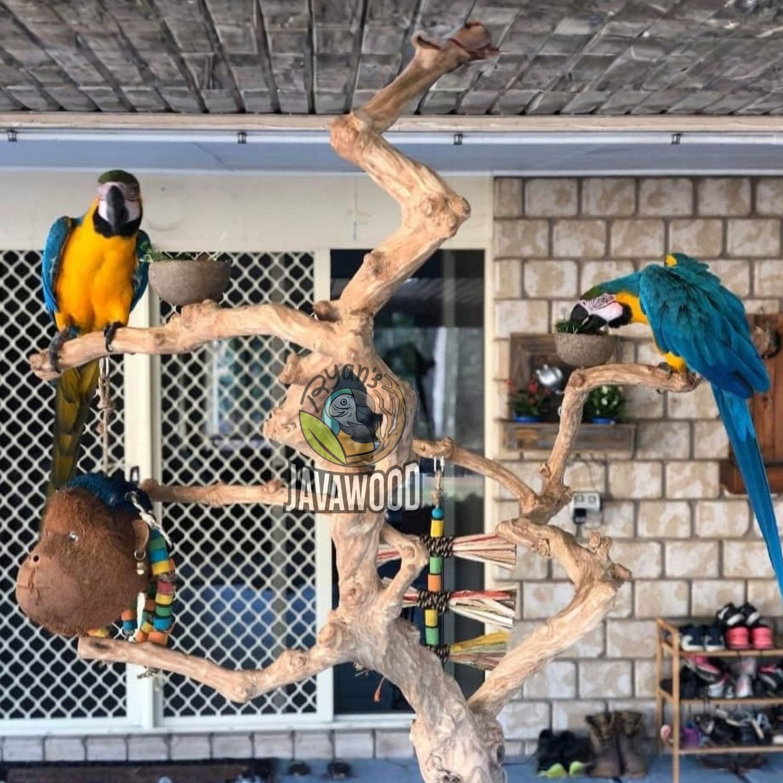 Premium Java Wood Playstand | Natural Coffee Wood Bird Stand