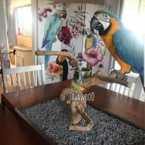 Premium Javawood Table Stand – Natural Handcrafted Coffee Wood Bird Perch