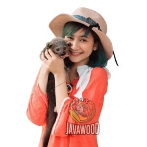 Majestic Binturong (Bearcat) β Rare & Exotic Rainforest Mammal (Arctictis Binturong)