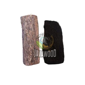 Premium Xaxim Tree Fern Natural Shape β Authentic Organic Hardscape for Tropical Vivariums