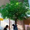 Java Wood Branch for Artificial Trees