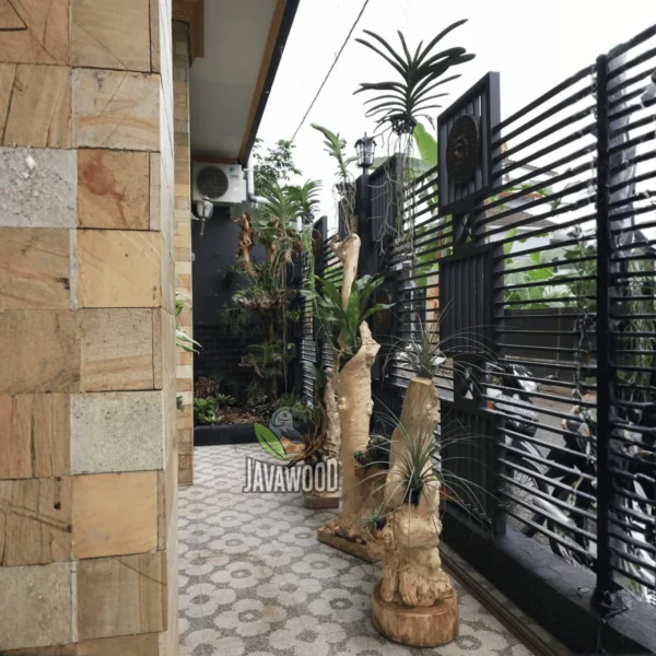 Natural Wood Plant Tree Rack