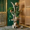 Natural Wood Plant Tree Rack