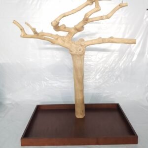 Perch For Birds Wood – Premium 100% Natural Quality