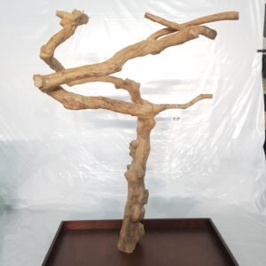 Premium Playstand Birds – 3-Level Quality Bird Activity Stand