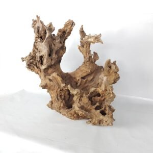 Best-Priced Aquarium Wood for Ornamental Fish