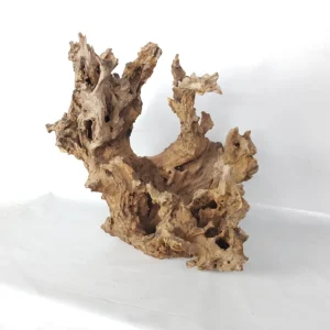 Best-Priced Aquarium Wood for Ornamental Fish