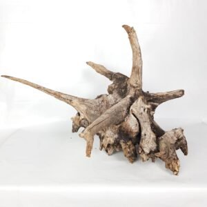Premium Aquarium Wood 100% Natural – High Quality Wholesale Supply