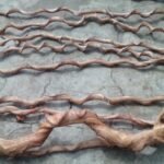 5 Reasons Kasela Wood Vines Are Best for Reptile Enclosures