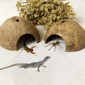 Premium Natural Coconut Hut Hiding House – 100% Eco Pet Cave