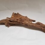 5 Best Steps to Prepare Natural Driftwood for Aquariums Safely