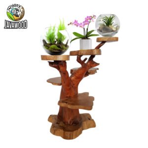 Premium Natural Teak Branch Tree Plant Stand – 3 Tier Shelves Included