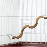 5 Best Reasons Why Wacky Wood Vertical Stands Enrich Exotic Birds